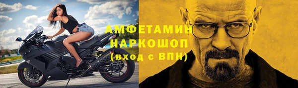 индика Богородицк