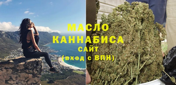 индика Богородицк
