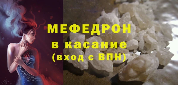 индика Богданович
