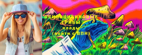 индика Богородицк