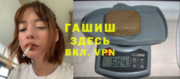 индика Богданович