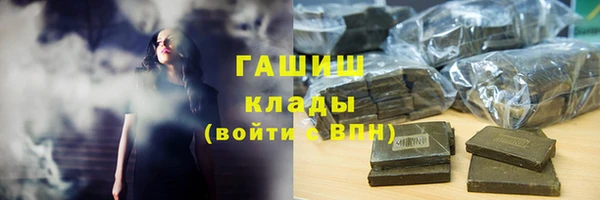 индика Тобольск