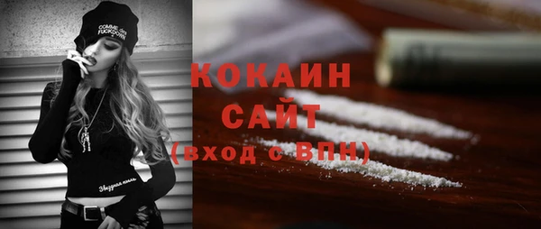 индика Богданович