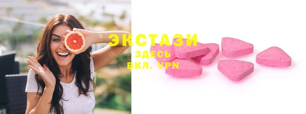 индика Богородицк