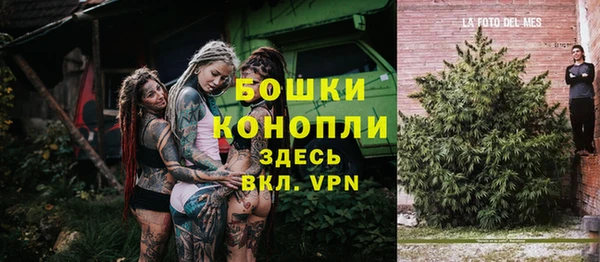 индика Богородицк