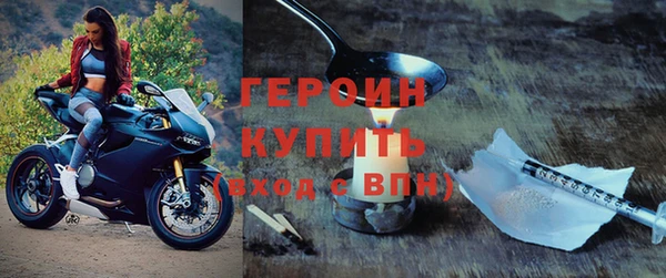 индика Богородицк