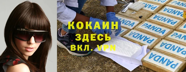 индика Богданович