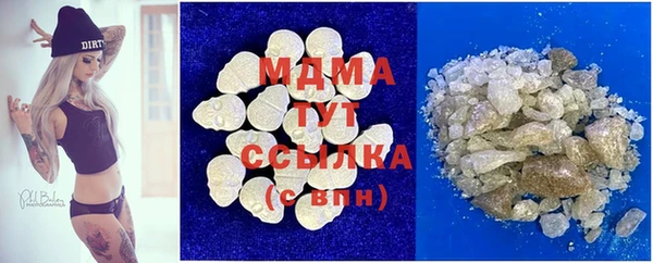 индика Богородицк