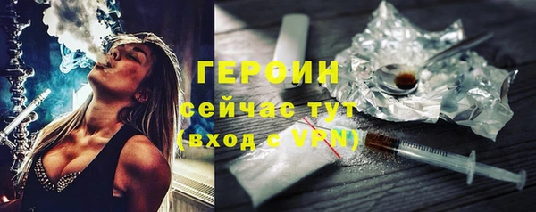 индика Богородицк