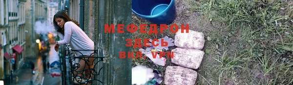 индика Богданович
