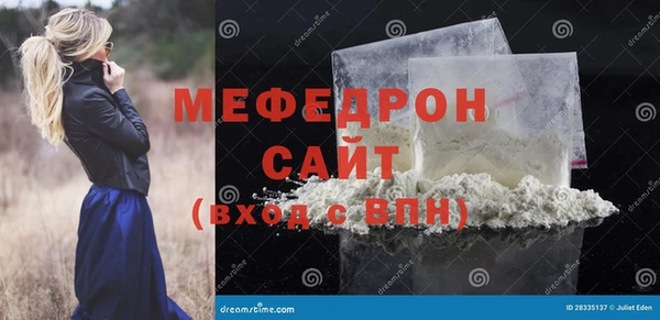 индика Богородицк