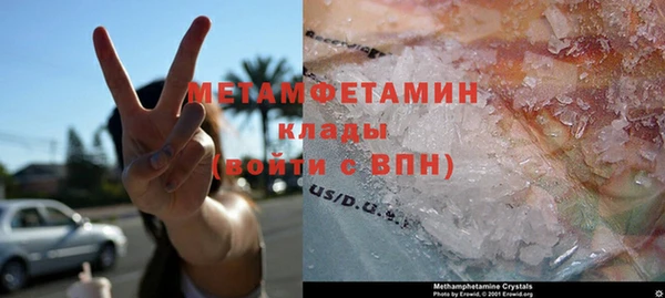 индика Богданович